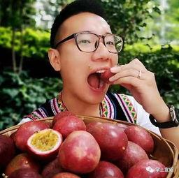 云南网红吃小瓜