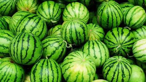 网爆吃瓜最新,揭秘娱乐圈最新热点事件